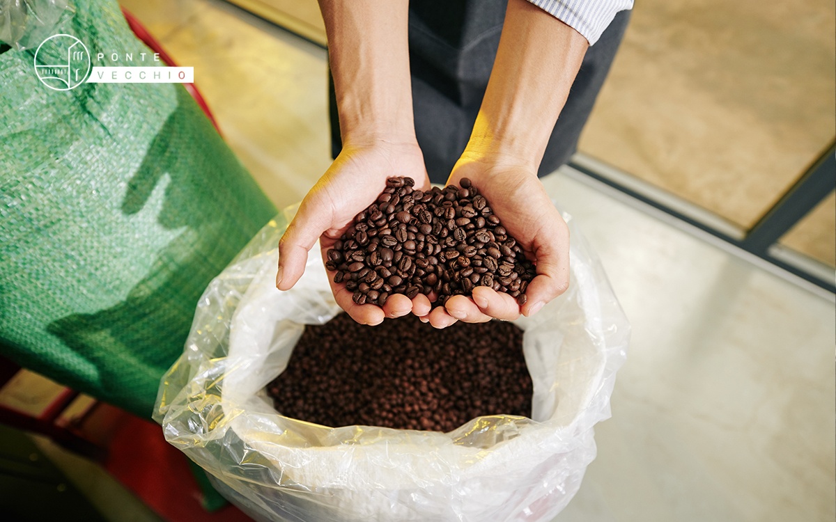 How to identify coffee beans and select the best